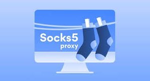 Socks 5 IP Pannel Load Service